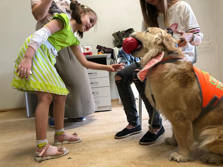 Реабилитация ребенка-инвалида с участием обученной собаки - в Волгограде реализуют идею