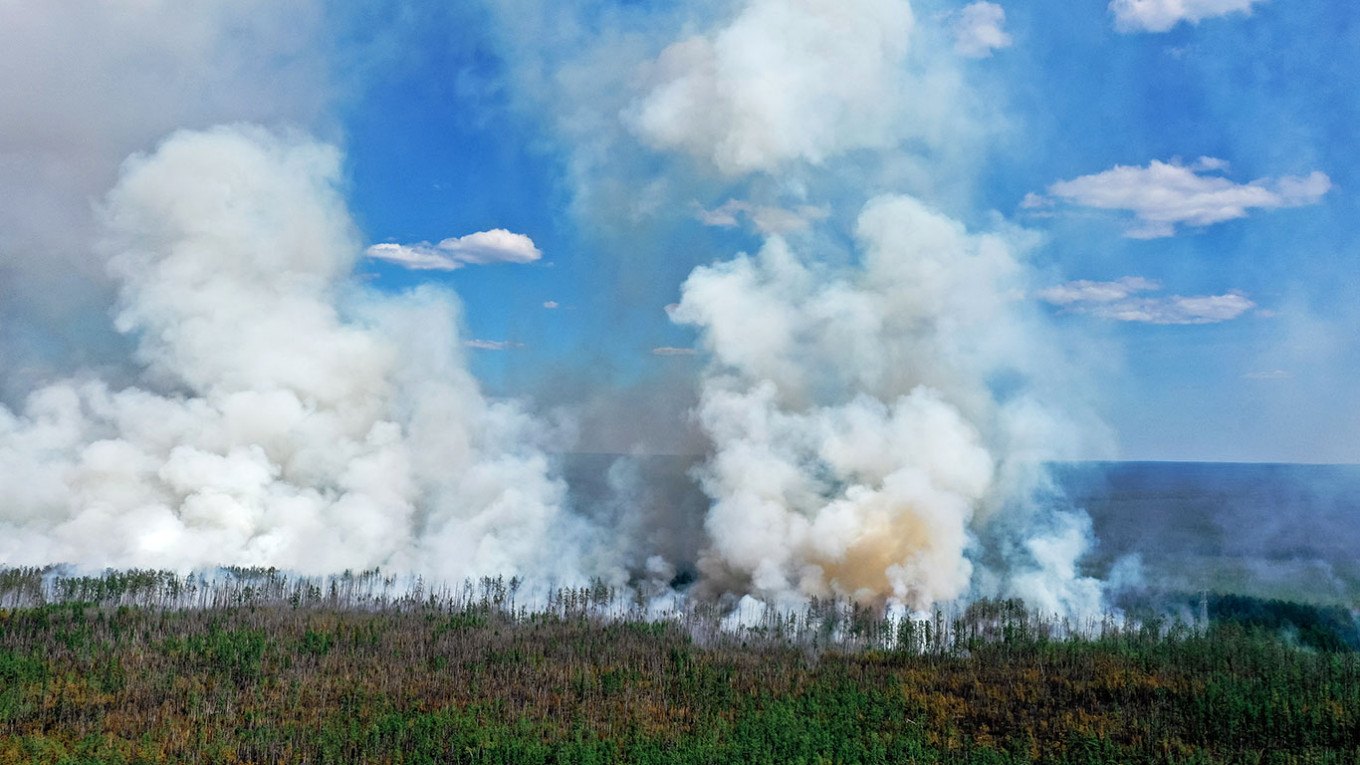 Лесные пожары в России в 2021 году стали самыми крупными в истории страны