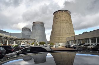 Россия полагается на свои леса для достижения климатических целей