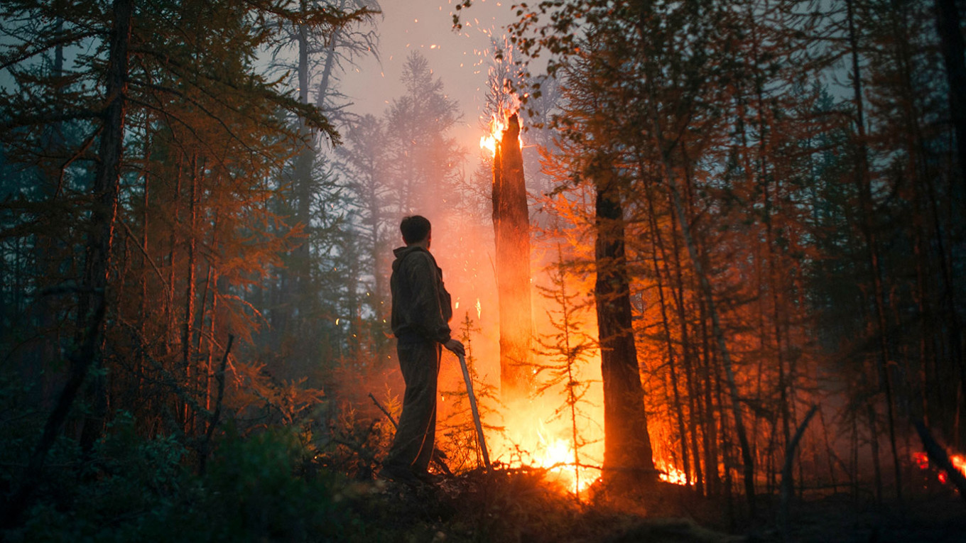 В России наблюдается рекордное распространение лесных пожаров