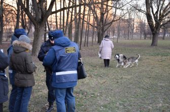 Эксперт напомнила россиянам о штрафах за домашних питомцев