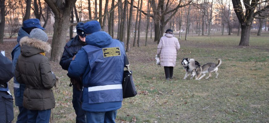 Эксперт напомнила россиянам о штрафах за домашних питомцев