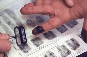 Мигрантам будут выдавать карты с чипом о дактилоскопии. Планы МВД на конец декабря
