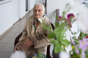 Поддержка неработающих пенсионеров: как можно получить?